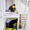 진위초등학교병설유치원 이미지