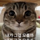 복복복