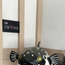 전통복회관 이미지