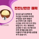 사랑이 오래 가는 비밀 : 상대방의 방어기제를 파악하라 이미지