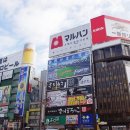 동화카서비스 이미지