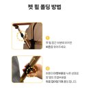 펫츠올 동물의료원 | 가성비 짱인 강아지 유모차 프리미엄 반려동물 유모차(펫츠놀로지)