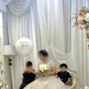 허니벌룬 이미지