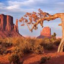 모뉴먼트 이미지