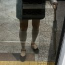 [삼척] 4월19~20일 맹방유채꽃 축제 ,중앙시장 , 숙소 1박2일 중 첫 날 💛