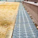 월곶초등학교 이미지