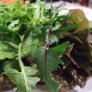 부일불고기 이미지