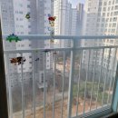 파리바게뜨풍무꿈에