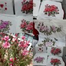 야생화 꽃그림 천아트 이미지