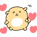 더리시안 이미지