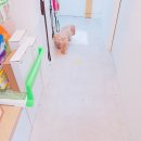 행복드림 동물병원 이미지