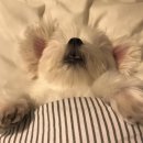 멈무는하루 이미지