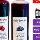 복분자하우스카페복분자 네이버블로그