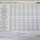 ㈜하이버스투어 | [내돈내산] 서울 시티투어 버스 / 타이거 버스 탑승 후기