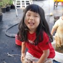 자매농장 이미지