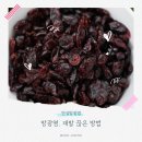 자연치료 | 방광염 항생제 없이 재발 없음 크랜베리 효과 자연치료 후기