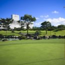 본24골프 이미지