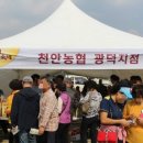 천안농업협동조합 광덕지점 이미지