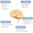 주식회사 메디라인 이미지