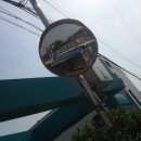 교문상회