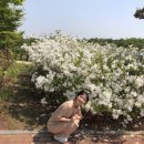 오소현 카카오 검색결과