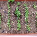 만복경로당 이미지