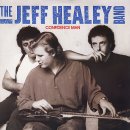 While My Guitar Gently Weeps/ Jeff Healey 이미지