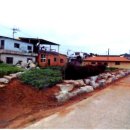 신지면-3 이미지