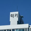 주인공 | 오늘의 주인공 꽃받침 토퍼 후기 케이크 데코 감성 끝판왕🌸