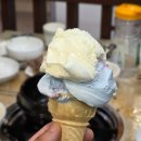 신바람오리