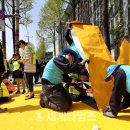 서림초등학교 정문 앞 이미지