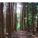 길은마을 이미지