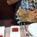 칠복이네돈까스 네이버블로그