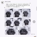 마이티그루밍 이미지