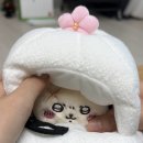 국제전자 이미지