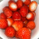 하일호스텔 | 아니 나 이번엔 진짜 할거라고