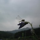 북상월성마을 이미지