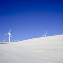 파란하늘목장 이미지