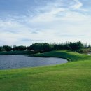 TOP 골프랜드 이미지