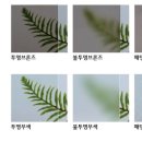 건일인테리어 이미지