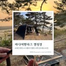 [태안 캠핑장] 바다 바로 앞 오션뷰 캠핑 추천 - 바다여행파크 캠핑장