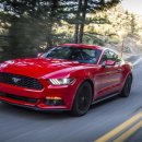 지성자동차 이미지