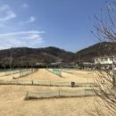 청도피닉스파크골프