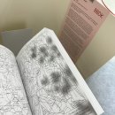 도서관에 간 북튜버 | 2025 서울국제도서전 &lt;믿을 구석&gt; 후기 - 초심자의 다짐