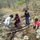 자연아 놀자자연생태탐험대 이미지