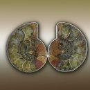 좋은아침한의원 이미지