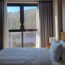 포레스트330 | 제천숙소 제천 레스트리 리솜 s30 330호 내돈내산 후기+제천 포레스트 리솜 해브나인 스파 가격 정보