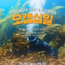 (주)케이씨엠 | [영덕] 오션캠퍼스 스쿠버다이빙인턴쉽 오캠십일 후기 - 바다숲복원부터 달빛고래트레킹까지! 10일간의...