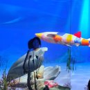 진주어린이환경박물관 이미지