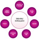 (주)자색나라 이미지